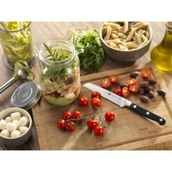 Zwilling Universeel Mes -Demeyere Shop 000008481